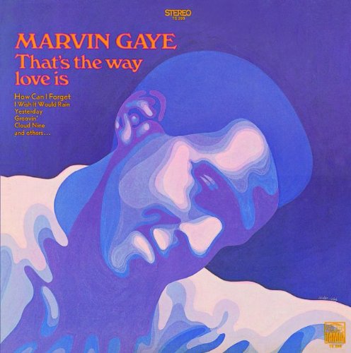 cover: Abraham, Martin And John, Marvin Gaye, Gitarre