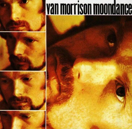 cover: Into The Mystic, Van Morrison