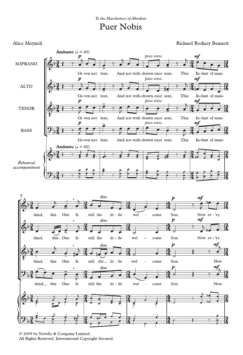 Produktbild zu: Puer Nobis