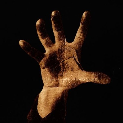 cover: Spiders, System Of A Down