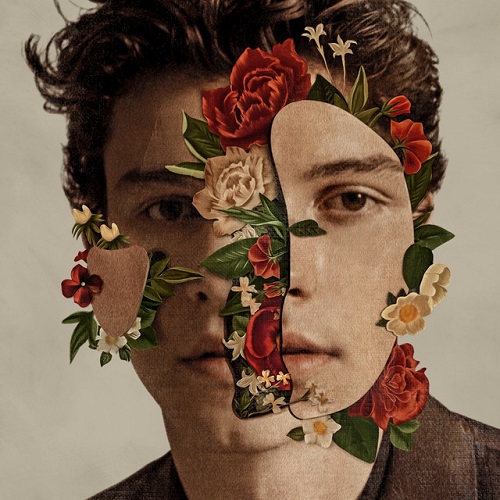 cover: In My Blood, Shawn Mendes