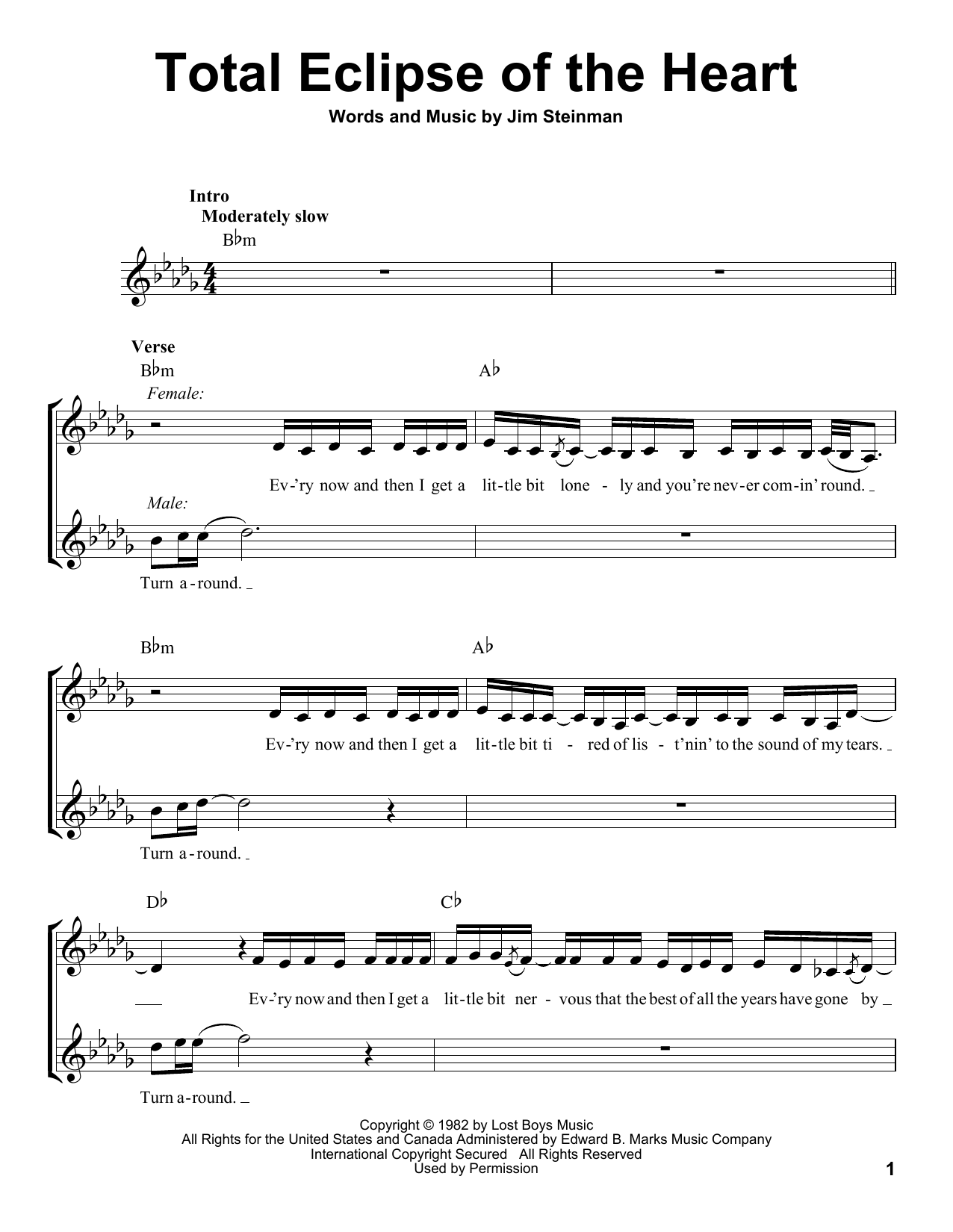 Product picture to:  Total Eclipse Of The Heart - Bonnie Tyler