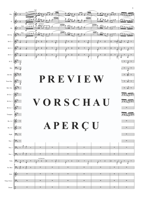 Produktgalerie: Seite 5 von 11 Rollicking Rakes, , Concert Band
