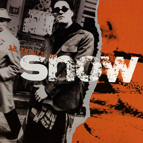 cover: Informer, Snow, Gesang, Gitarre, Klavier