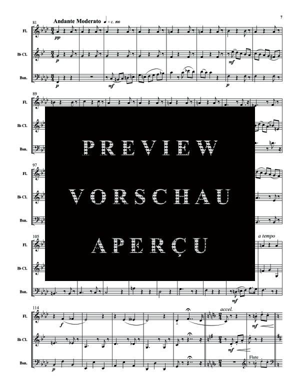 Product gallery: Page 10 of 11 Carmen Vignettes, , (woodwind trio flute, clarinet and bassoon)
