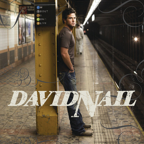 cover: Red Light, David Nail