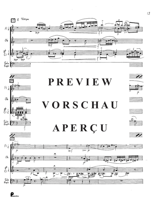 Produktgalerie: Seite 15 von 21 Concertino , , (Gemischtes Ensemble 2x Flöte, Oboe, 2x Klarinette +Euphonium Solo)