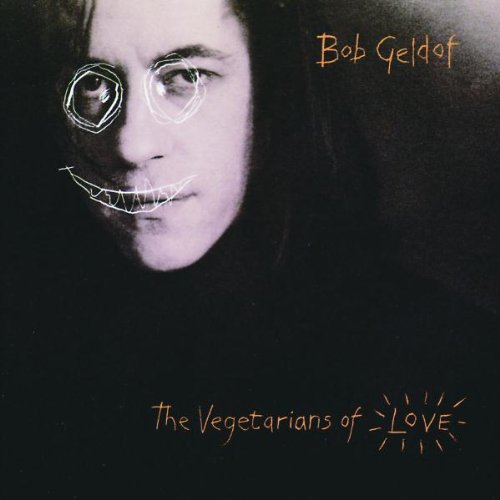 cover: The Great Song Of Indifference, Bob Geldof, Gitarre