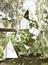 cover: Dust Clears, Clean Bandit, Gesang, Gitarre, Klavier