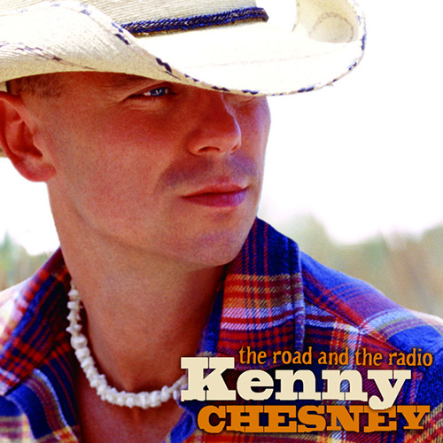 cover: Beer In Mexico, Kenny Chesney, Gitarre