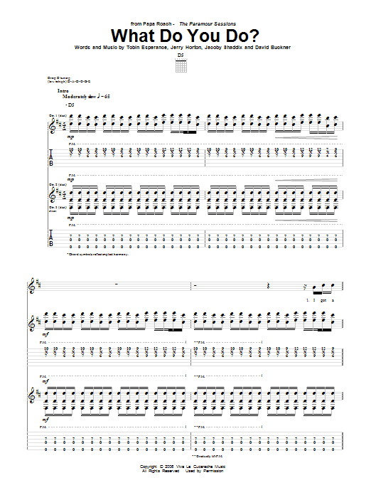Produktgalerie: Seite 1 von 1 What Do You Do?, Papa Roach, Gitarre