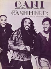 cover: Can I, Cashmere, Gesang, Gitarre, Klavier