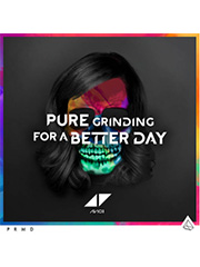 cover: For A Better Day, Avicii