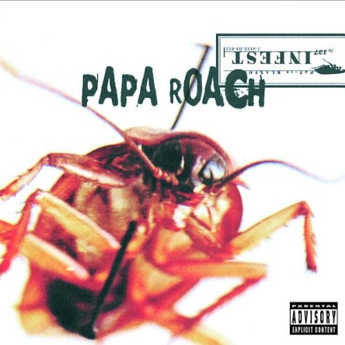 cover: Last Resort, Papa Roach, Gitarre