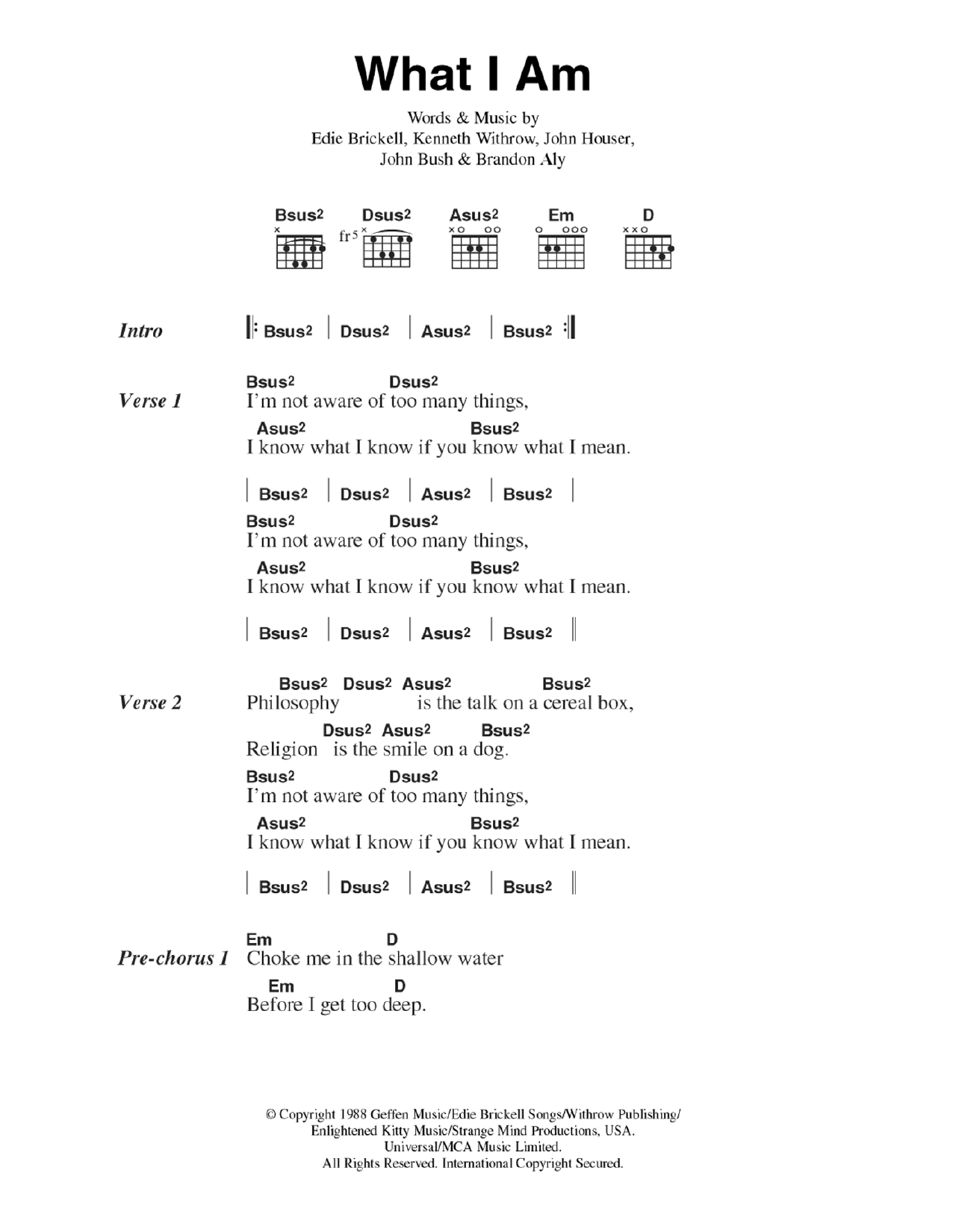 Produktgalerie: Seite 1 von 1 What I Am, Edie Brickell, Gitarre