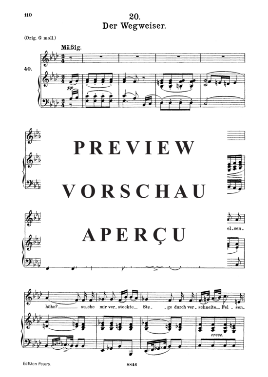 gallery: Der Wegweiser D.911-20 (Winterreise) , , . (Gesang mittel + Klavier)