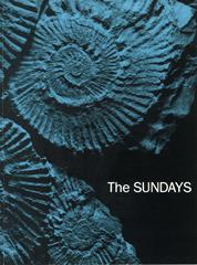 cover: Skin And Bones, The Sundays