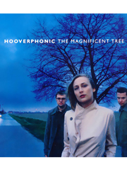 cover: Mad About You, Hooverphonic