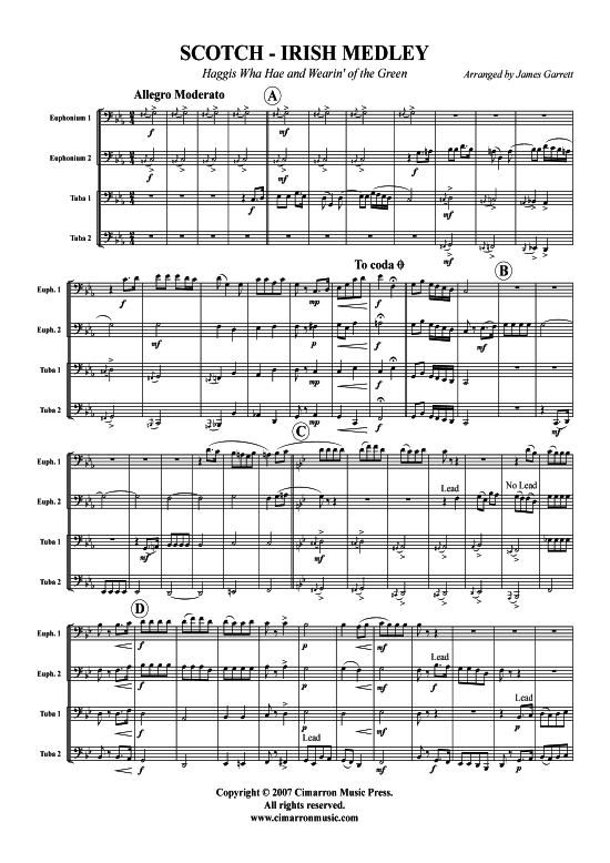 Product picture to: Scotch-Irish Medley Traditional