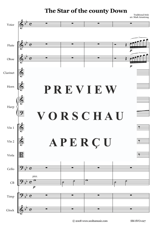 Produktgalerie: Seite 4 von 11 The Star of the County Down, , Solo Gesang und kleines Orchester