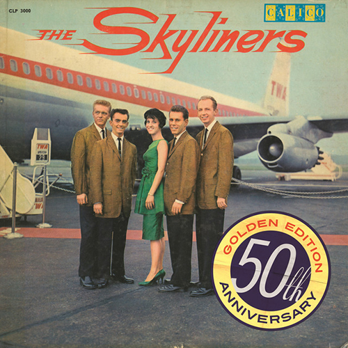 cover: Since I Don't Have You, The Skyliners, Violine