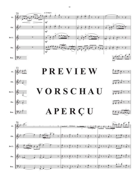 Produktgalerie: Seite 14 von 21 Divertimento for Wind Quintet , , (Holzbläser Quintett)