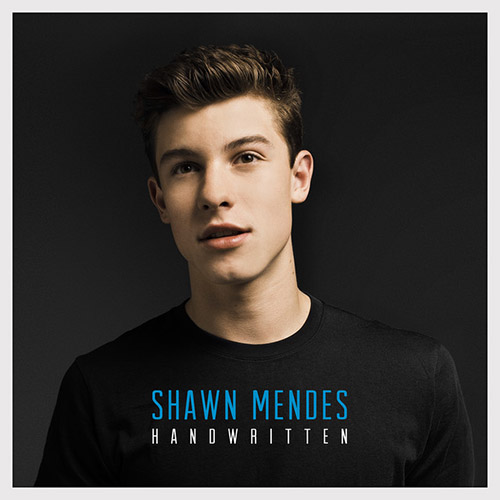 cover: Life Of The Party, Shawn Mendes