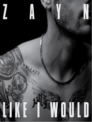 cover: Like I Would, ZAYN, Gesang, Gitarre, Klavier