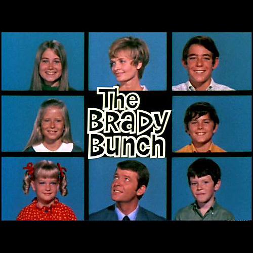 Product picture to: The Brady Bunch