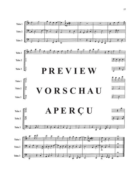 Produktgalerie: Seite 21 von 21 Fantasie a tre voci , , (fantasie for three instruments) Vol 2