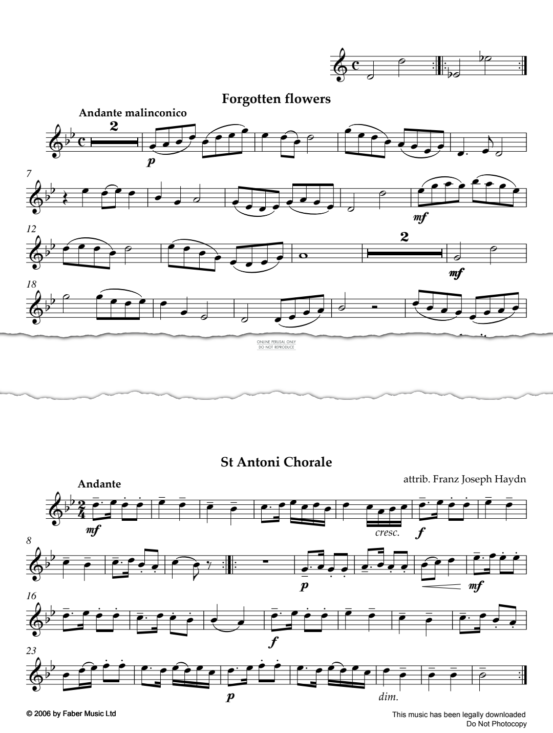 Product gallery: Page 1 of 1 Forgotten Flowers/St Antoni Chorale, Sally Adams