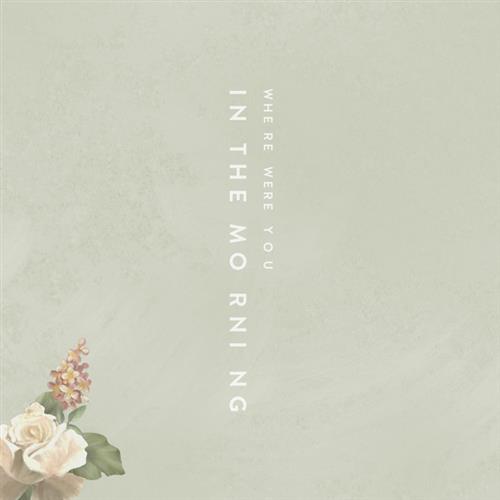 cover: Where Were You In The Morning?, Shawn Mendes, Gesang, Gitarre, Klavier