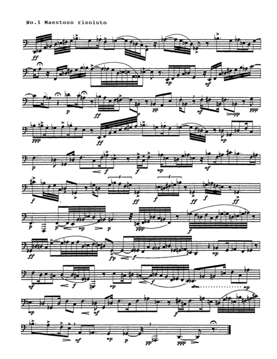 Product picture to: Twenty-nine Etudes James Guthrie