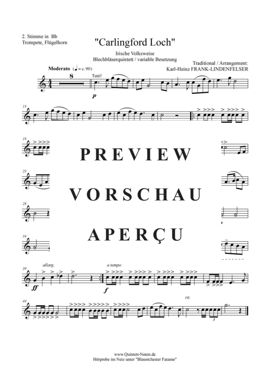 Produktgalerie: Seite 10 von 17 Carlingford Loch , Blasorchester Fatamo, (Blechbläser Quintett - flexible Besetzung)
