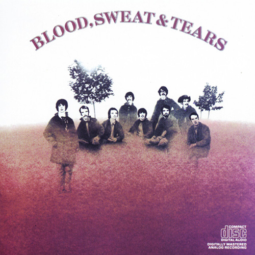 cover: Spinning Wheel, Blood, Sweat & Tears, Gesang, Gitarre, Klavier