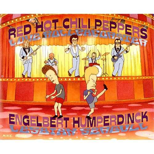 cover: Love Rollercoaster, Red Hot Chili Peppers, Gitarre