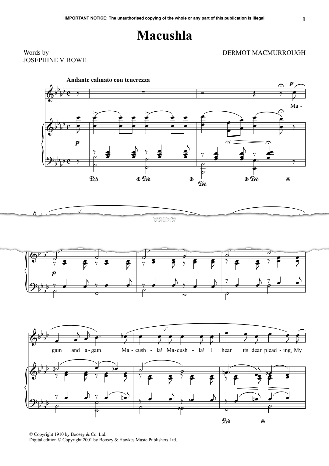 Produktgalerie: Seite 1 von 1 Macushla, Dermot MacMurrough, Gesang, Klavier