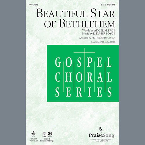 Product picture to: Beautiful Star Of Bethlehem