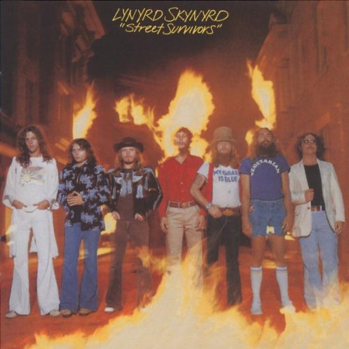 cover: What's Your Name, Lynyrd Skynyrd, Gitarre