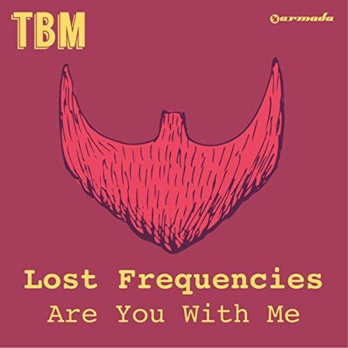 cover: Are You With Me, Lost Frequencies, Klavier