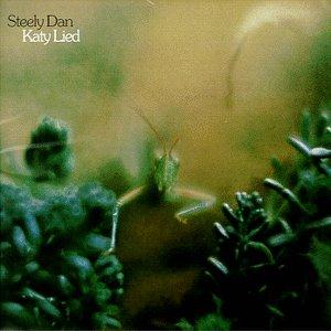cover: Black Friday, Steely Dan, Gitarre