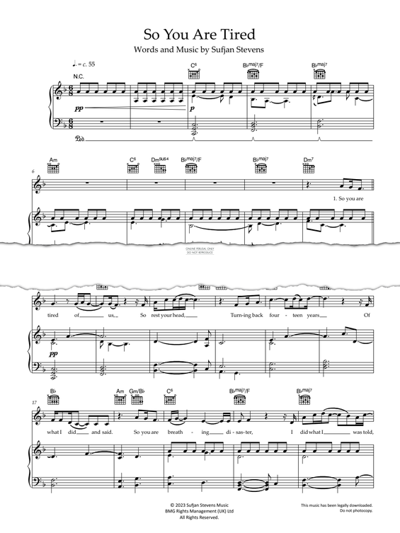 Produktgalerie: Seite 1 von 1 So You Are Tired, Sufjan Stevens, Gesang, Gitarre, Klavier