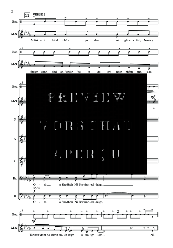 Produktgalerie: Seite 5 von 11 Sadhbh Ní Bhruinneallaigh, , Mezzo-Sopran Solo, Gemischter Chor und irische Trommel
