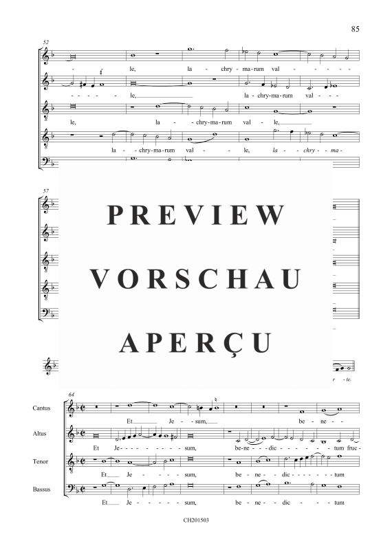 Produktgalerie: Seite 5 von 7 Salve Regina (II), , Gemischter Chor 5-stimmig