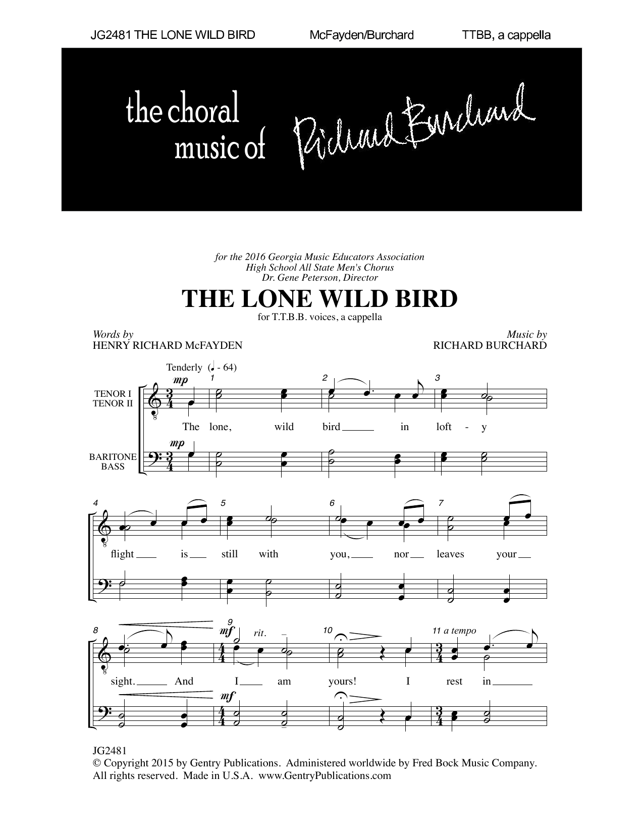 Product picture to: The Lone Wild Bird