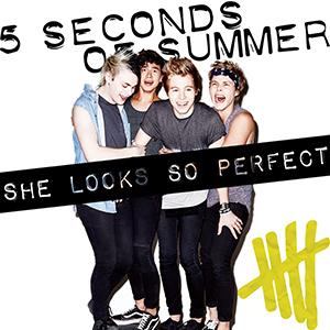 cover: She Looks So Perfect, 5 Seconds of Summer, Gesang, Gitarre, Klavier
