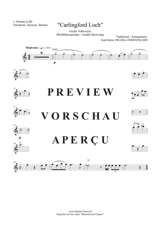 Produktgalerie: Seite 14 von 17 Carlingford Loch , Blasorchester Fatamo, (Blechbläser Quintett - flexible Besetzung)