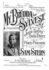 cover: My Brudda Sylvest, Sam Stern, Gesang, Gitarre, Klavier