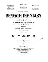 Produktbild zu: Beneath The Stars