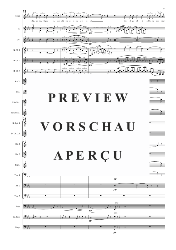Produktgalerie: Seite 8 von 11 Vissi d'arte, , Sopran Solo und Concert Band